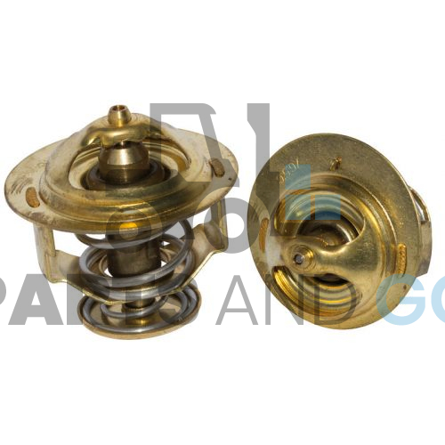 thermostat S4S,S6S