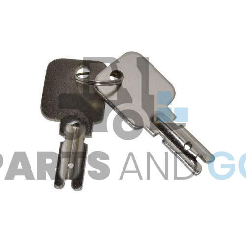Jeu de 2 clés (pour p1039) pour chariot élévateur - Parts & Go