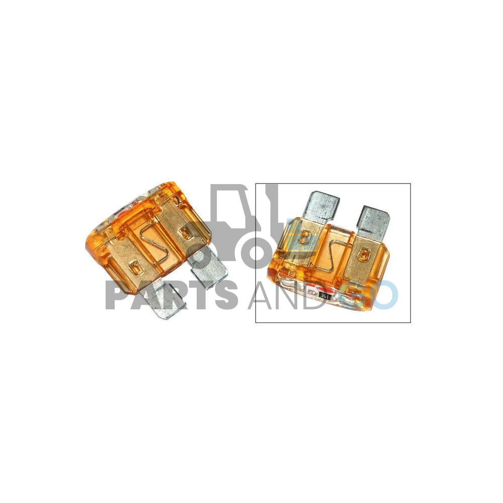 fusible standard a diode 5amp - Parts & Go