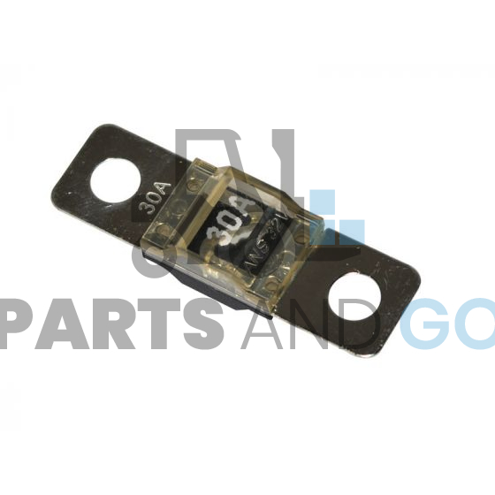 Fusible bf1-30amp - Parts & Go
