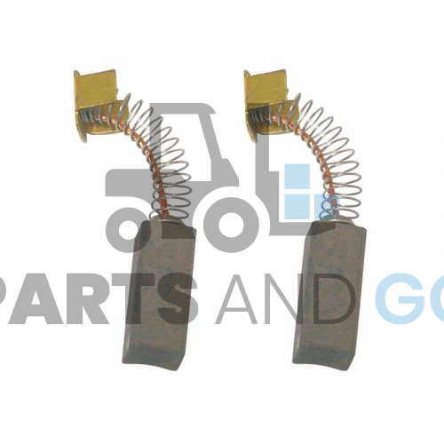 Kit de 2 balais (charbons) moteur - Parts & Go