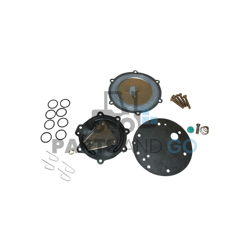 Kit de réparation gaz pour Régulateur, basse pression Impco modèle Spectrom serie 2 - Parts & Go