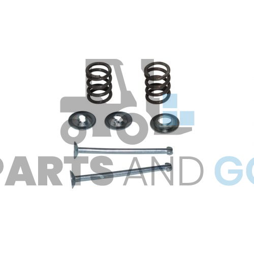Kit coupelles, Ressorts et axes d frein monté sur Hyster - Parts & Go